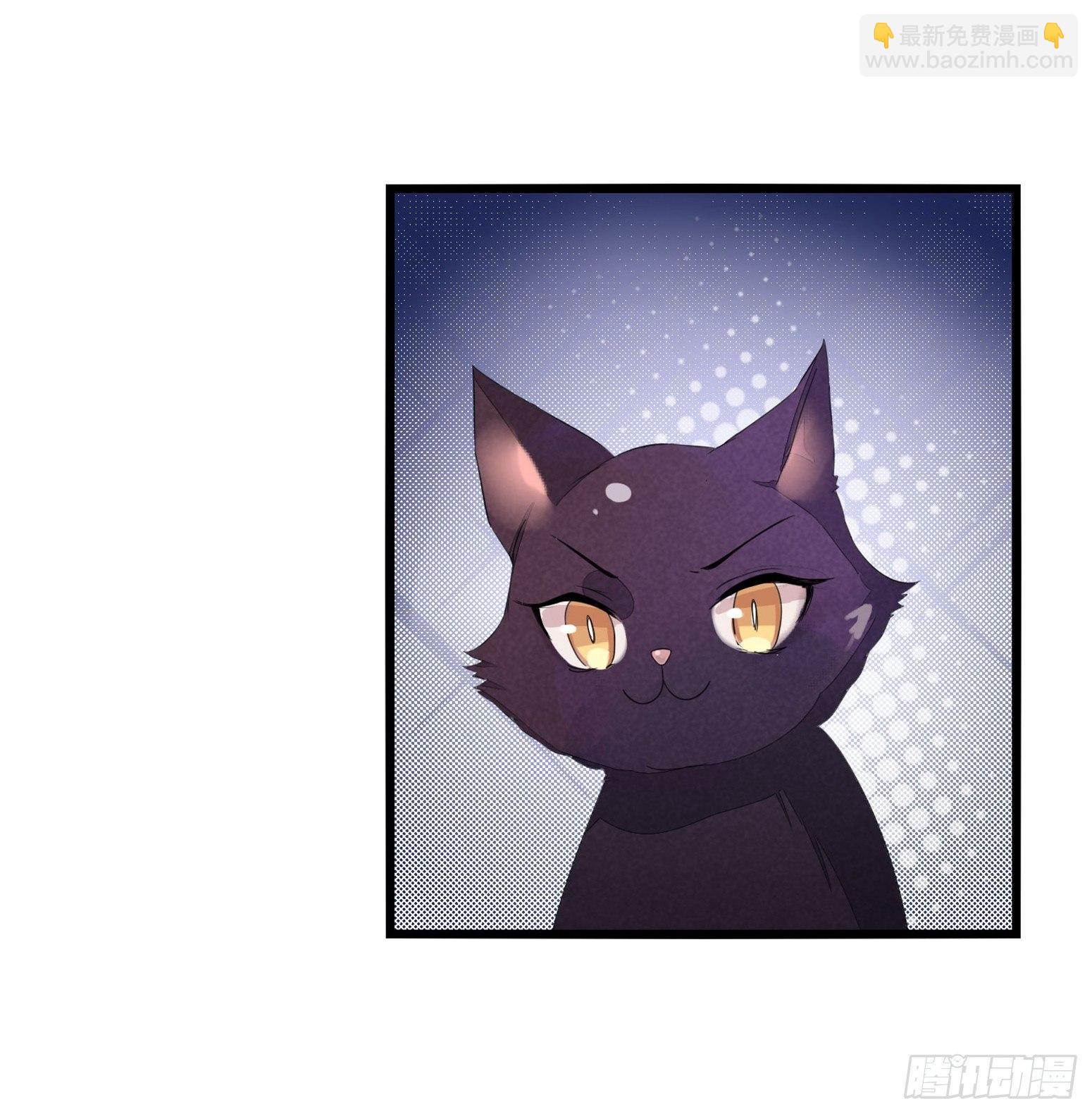 03 秃了也强了-第4话