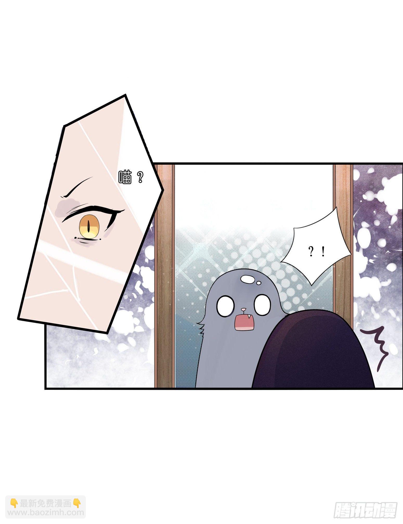 03 秃了也强了-第4话