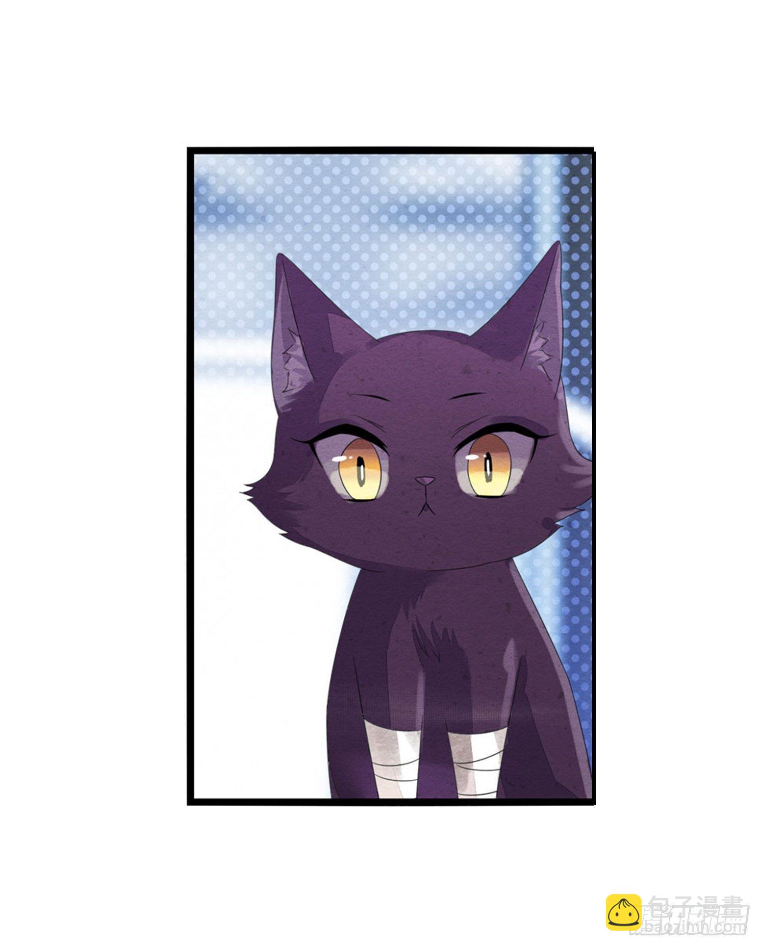 03 秃了也强了-第4话