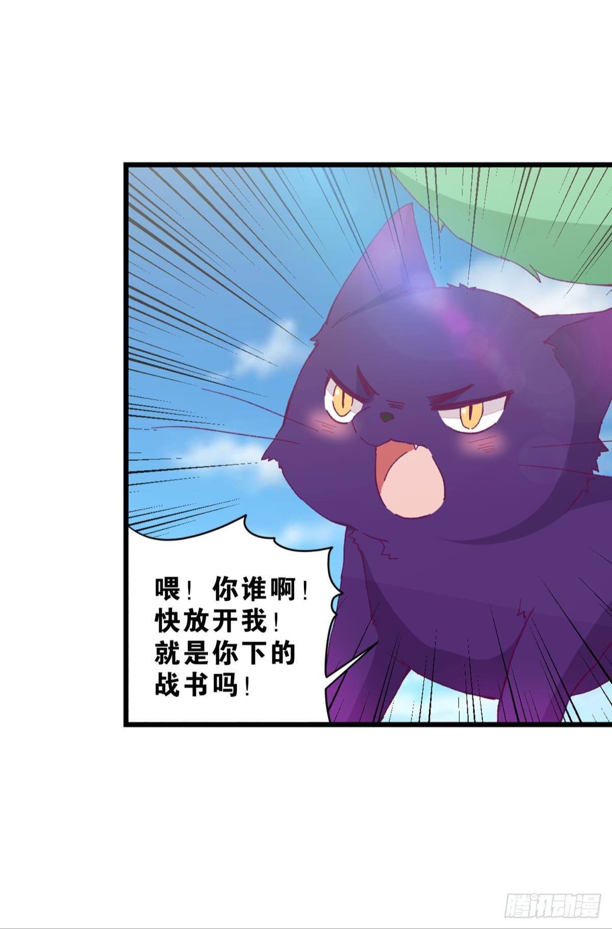 49 你是我的猫-第50话