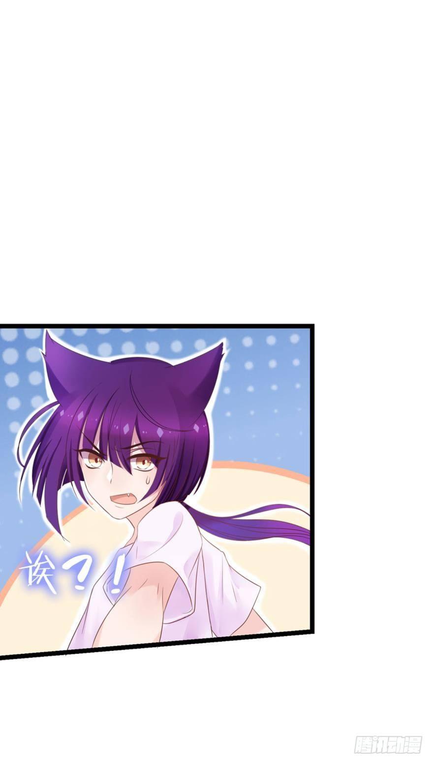 07 猫薄荷吸嗨了-第8话