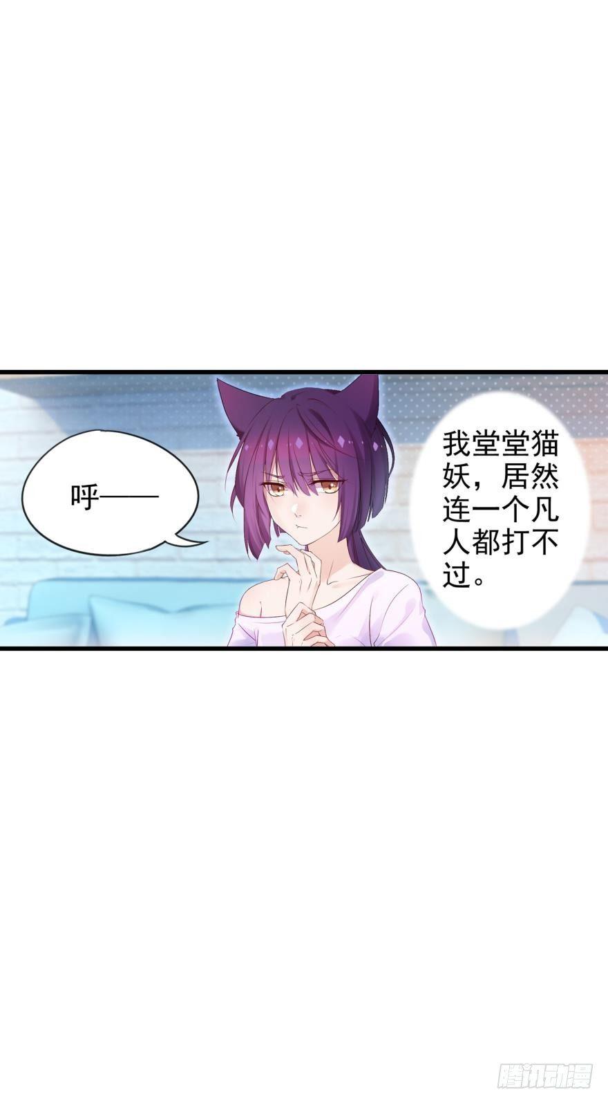 07 猫薄荷吸嗨了-第8话
