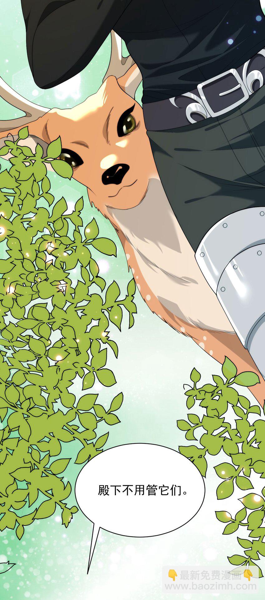 008 骑士的身世(1/2)-第10话